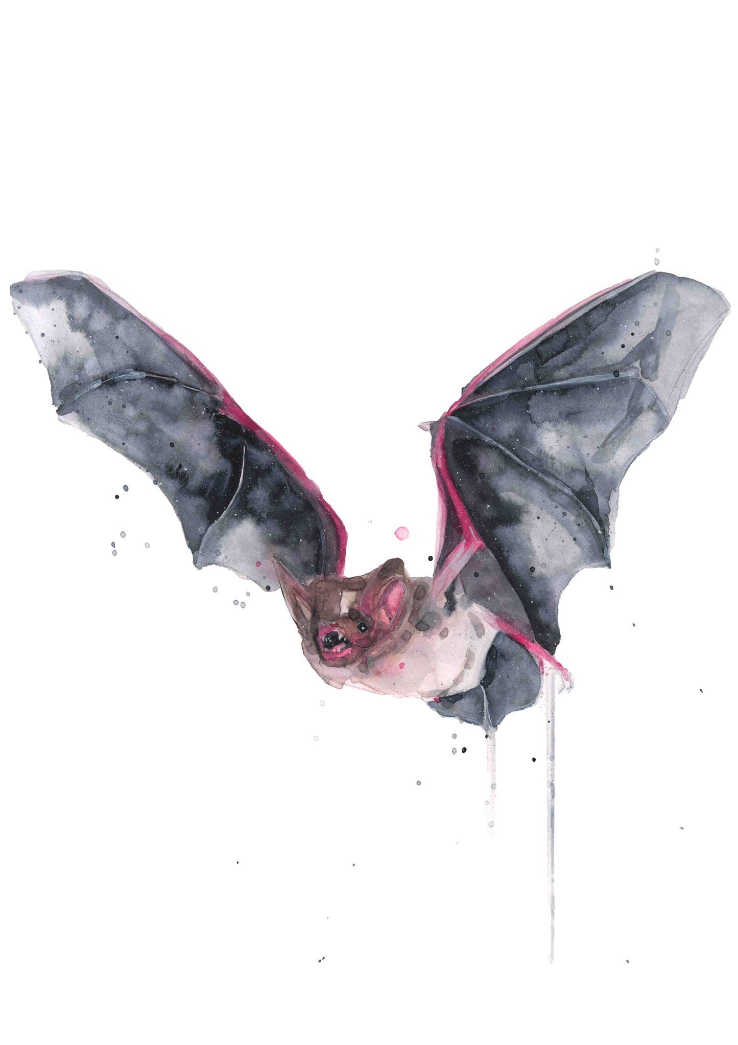 Watercolour bat