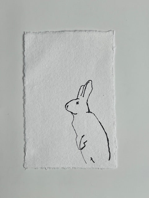 Original bunny drawing I