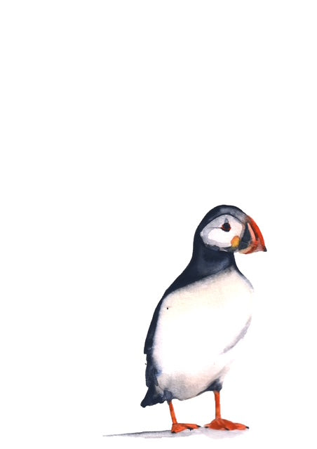 Puffin watercolour print