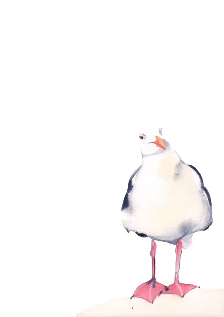 Seagull watercolour print